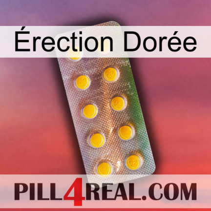 Érection Dorée new11